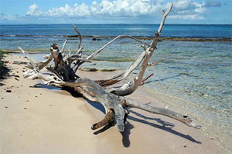 Petite terre Petite terre