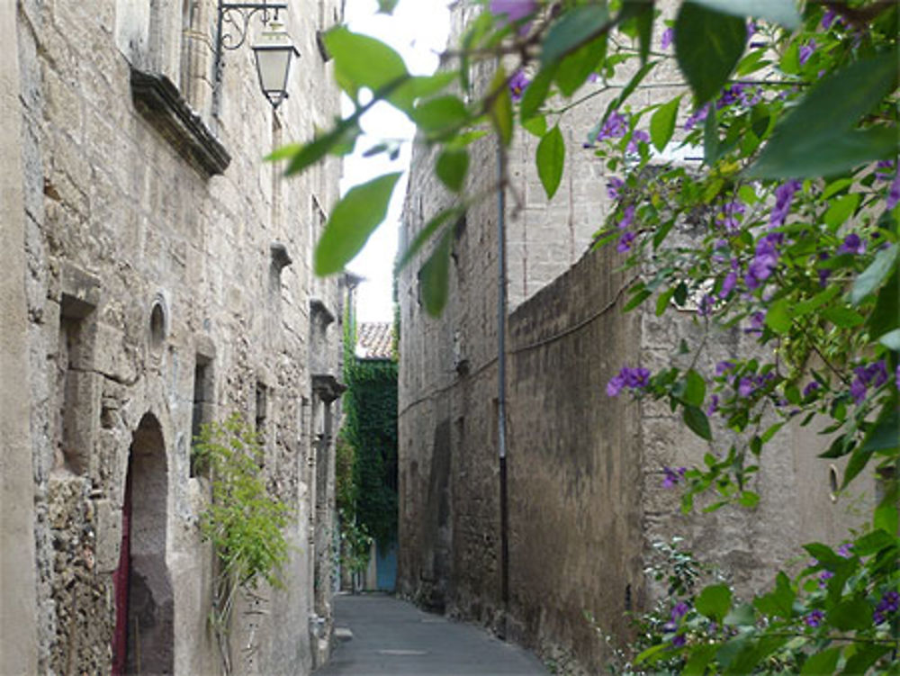 Pezenas