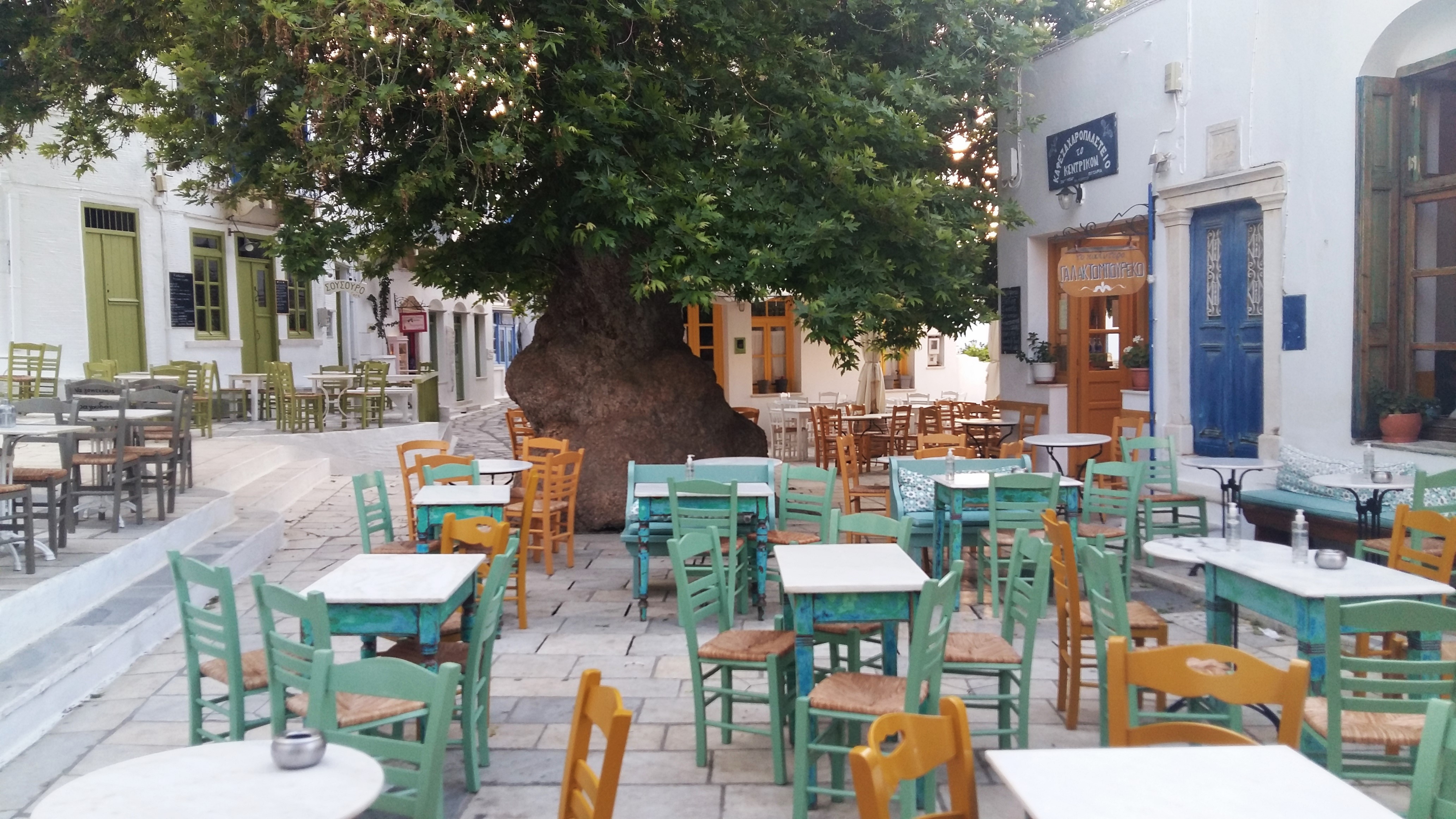 La place centrale de Pyrgos et son vieux platane La place centrale de Pyrgos et son vieux platane