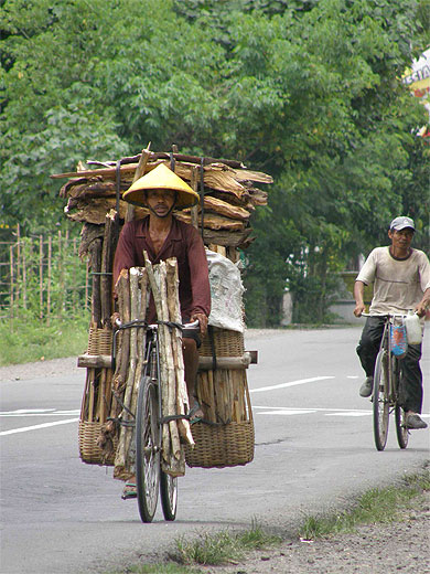 Transport du bois Transport du bois