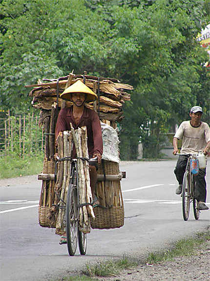 Transport du bois