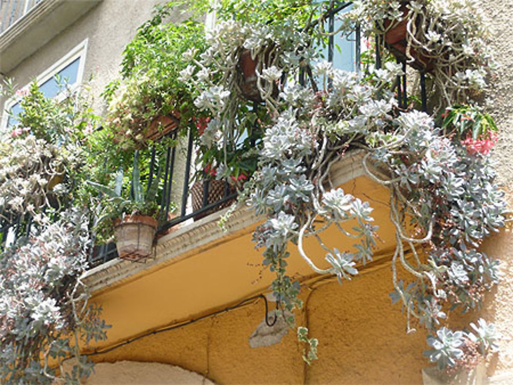 Balcon fleuri