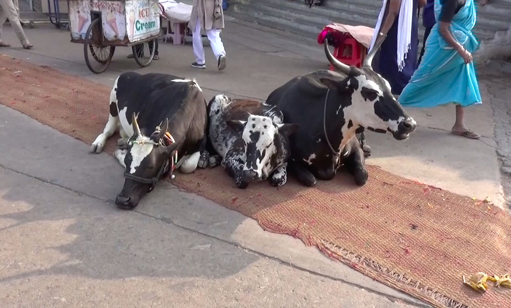 Mysore - Chamundi Hill