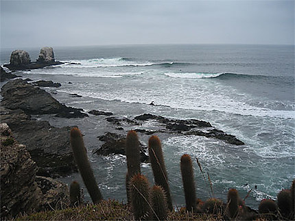 Surfing area