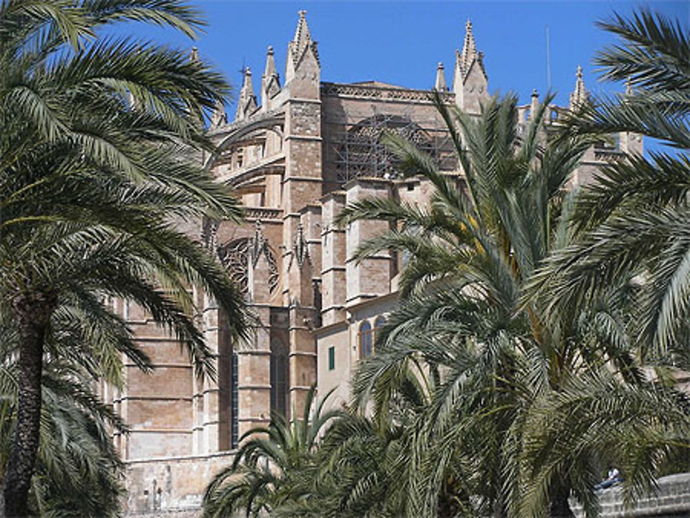 Cathédrale de Palma