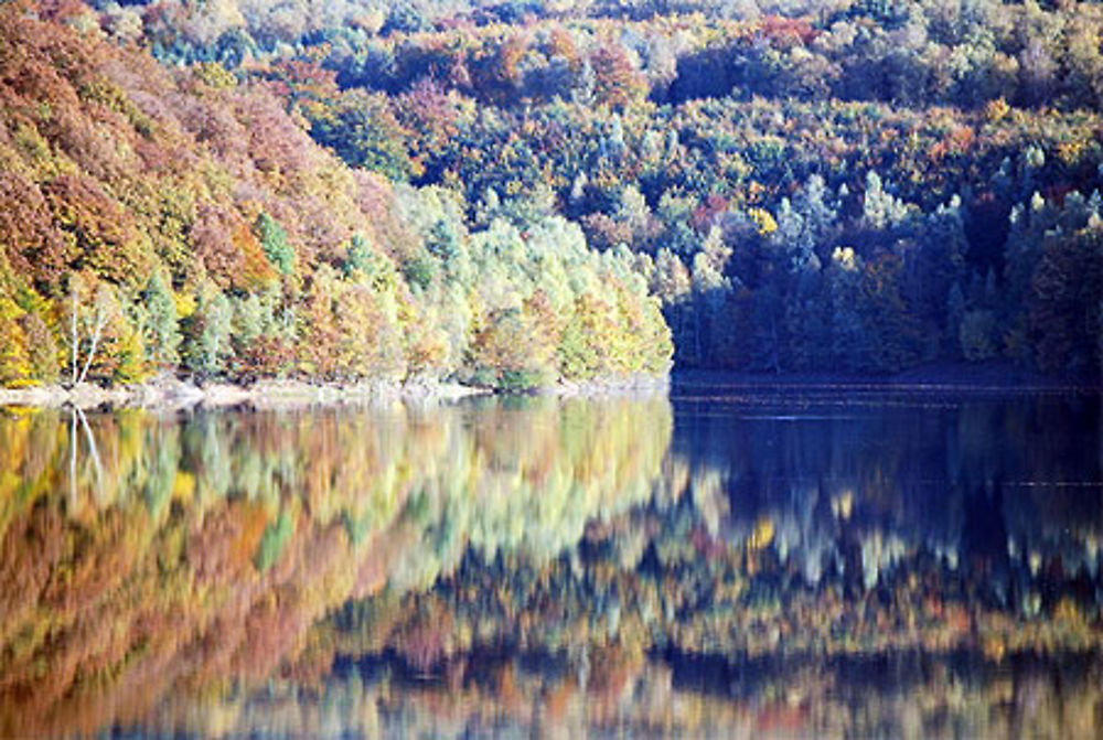 Reflets dans l'eau