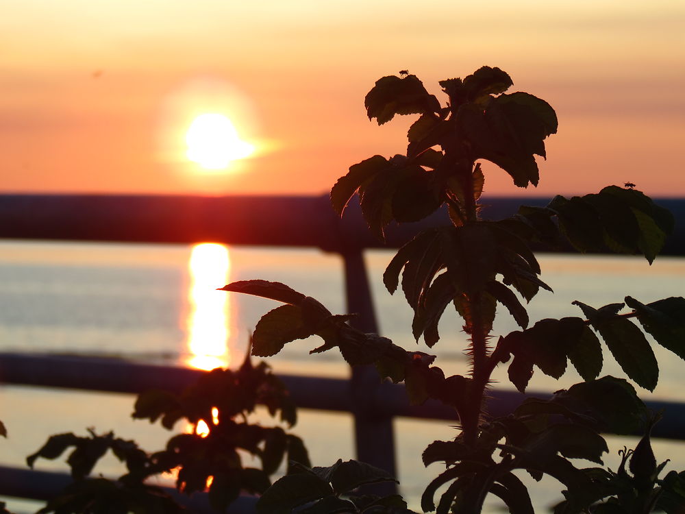 Coucher de soleil à Ste-Flavie