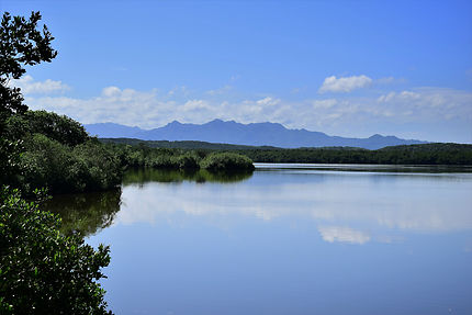 Laguna de Guanaroca