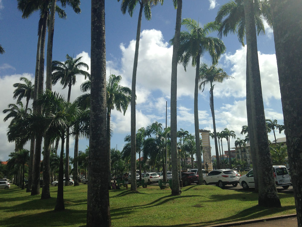 Place des Palmistes à Cayenne