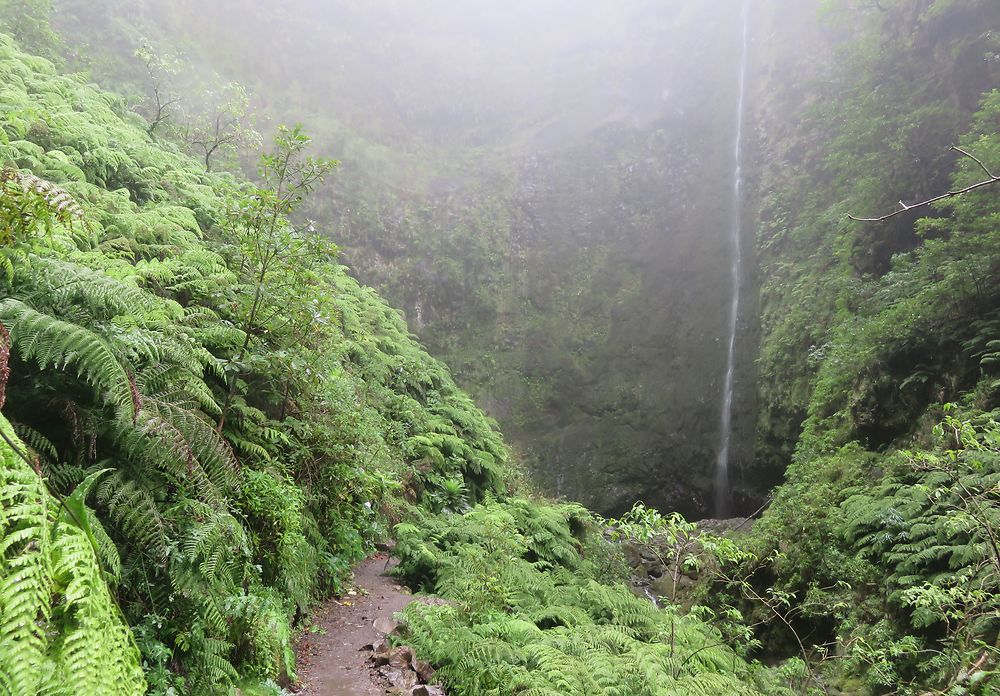 Caldeirao Verde, la cascade finale