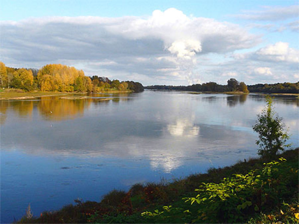 Loire près de Chinon