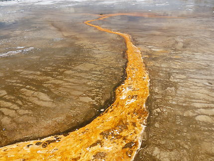 Coulée d'un lac de Yellowstone N.P