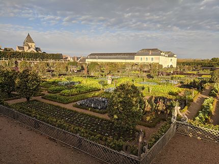 Légumes d'automne Château de Villandry