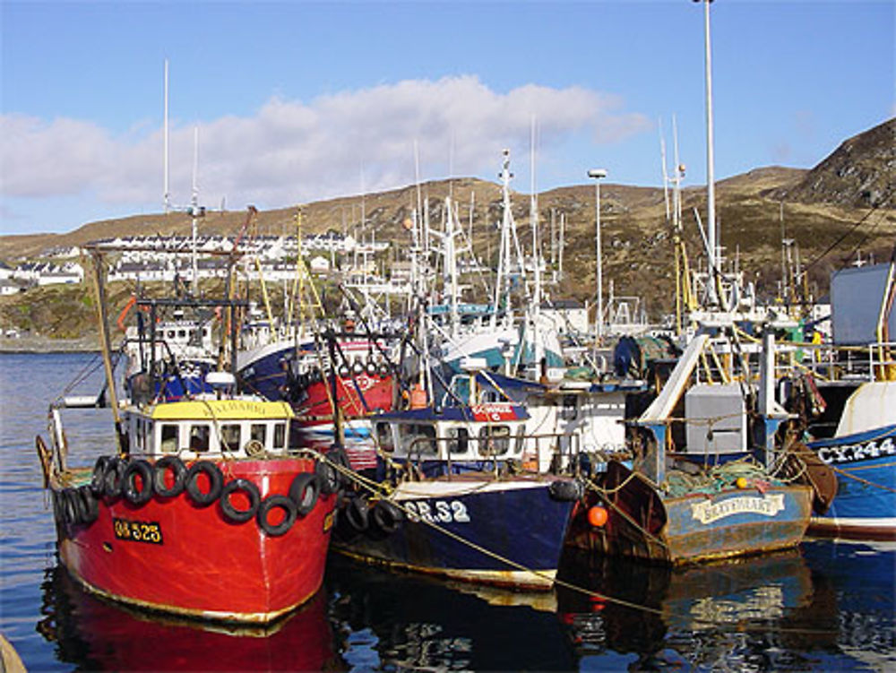 Le petit port de Mallaig