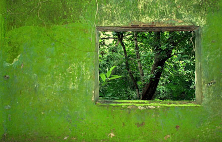 L'enfer vert L'enfer vert