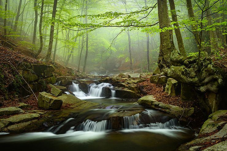 Parc naturel du Montseny