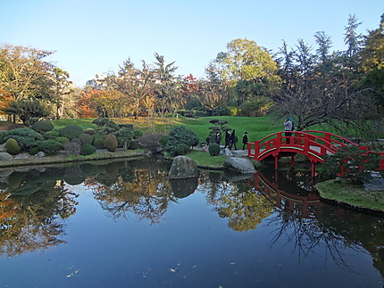 Jardin Japonais en automne