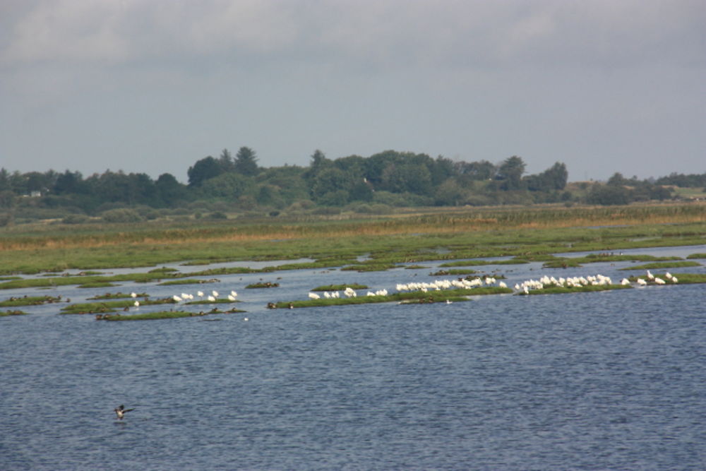 Paysage de l'Ile de Mors