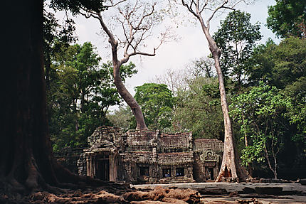 Wat Ta Phrom
