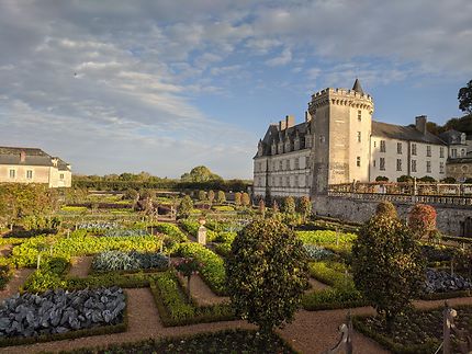 Potager devant le Château de Villandry