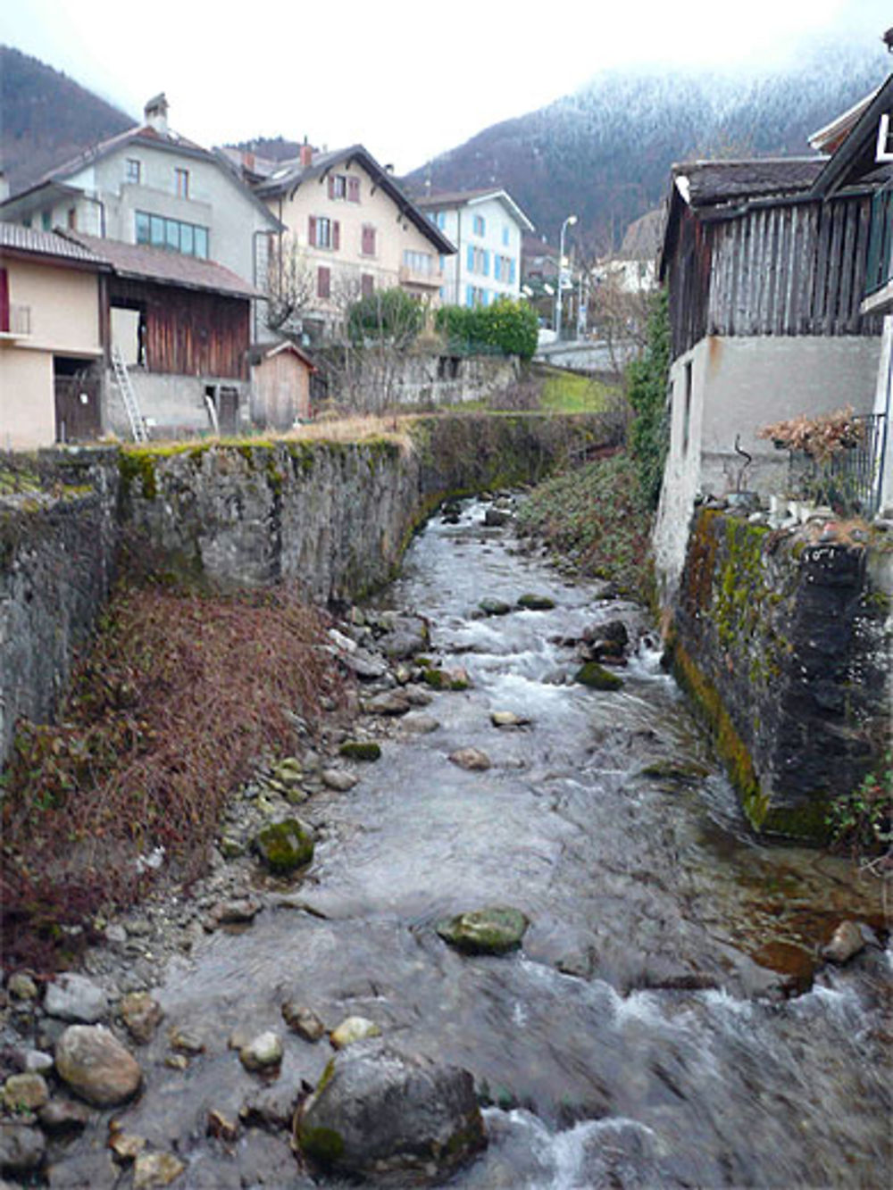 Frontière suisse