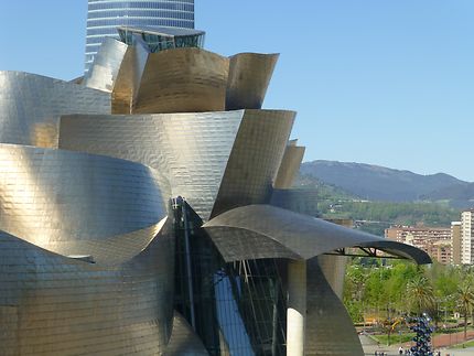 Gros plan sur le musée Guggenheim de Bilbao