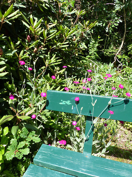 Un coin de paradis jardin botanique Cornouaille 