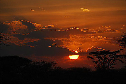 Couché de soleil sur le Serengeti