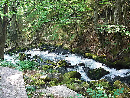 Cascades de la Bistrica