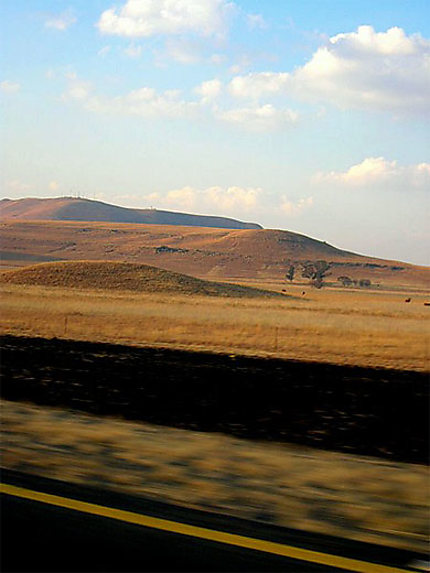 Paysage dans la région du Gauteng