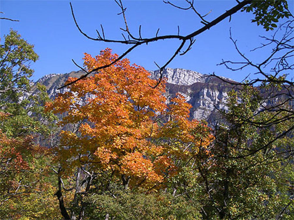 Octobre en Chartreuse