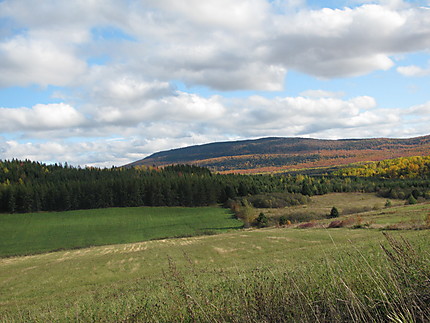 Été indien au Parc du Mont-Comi