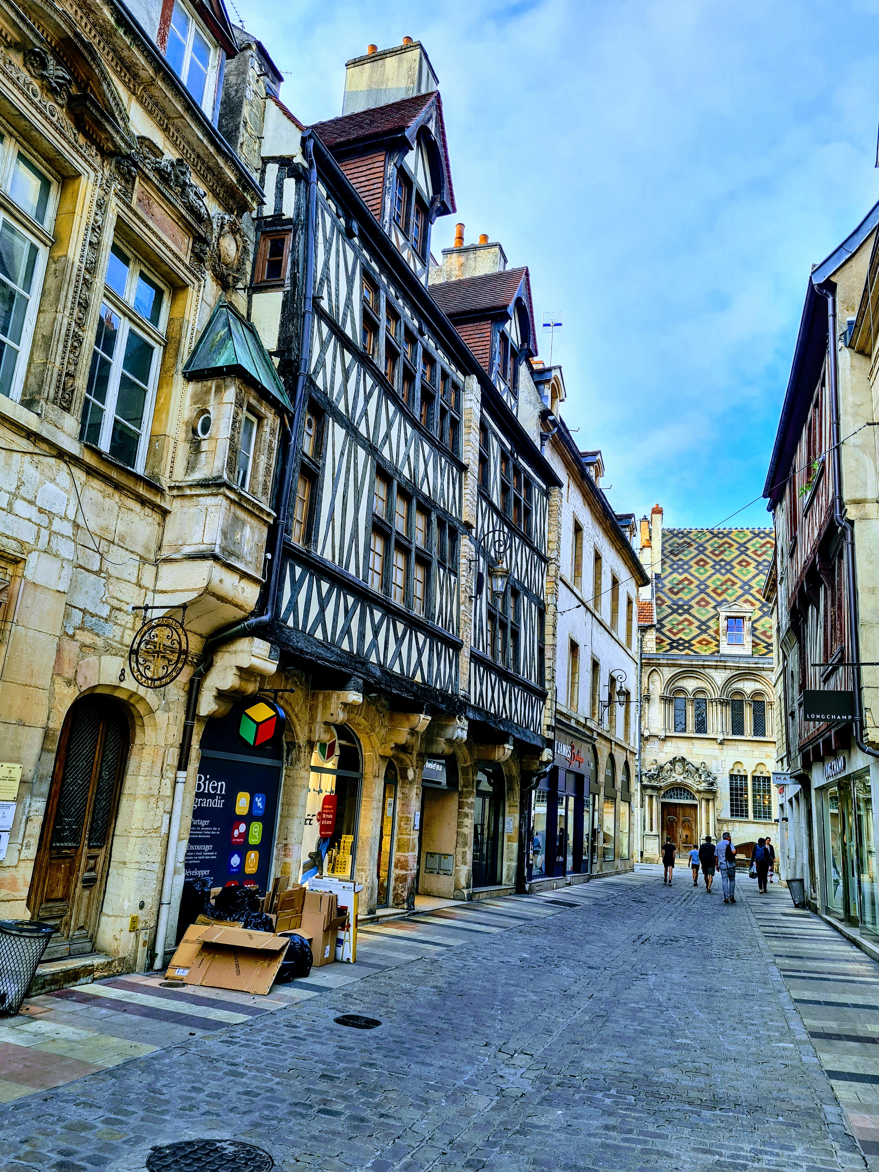 Découvrir Dijon sur une fin d'après-midi Découvrir Dijon sur une fin d'après-midi