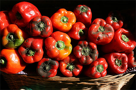 Poivrons au soleil Poivrons au soleil