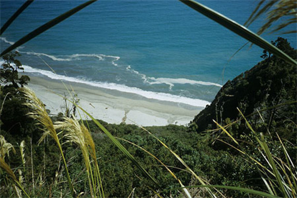 West Coast