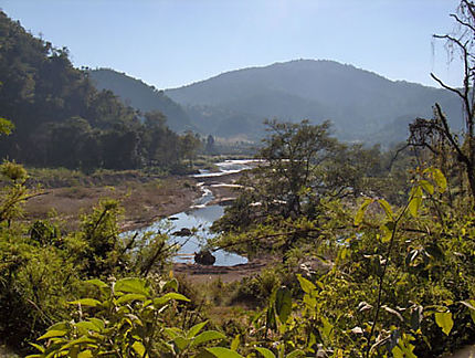 La jungle au nord de Chiang Mai
