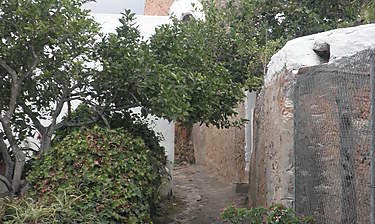 Sant Llorenç de Balafia (San Lorenzo)