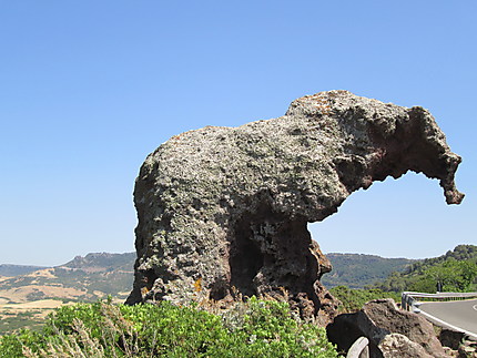 rocca elefante
