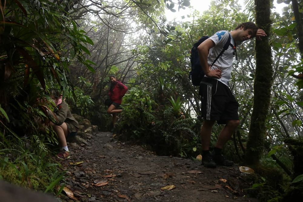 Descente depuis le Soufrière