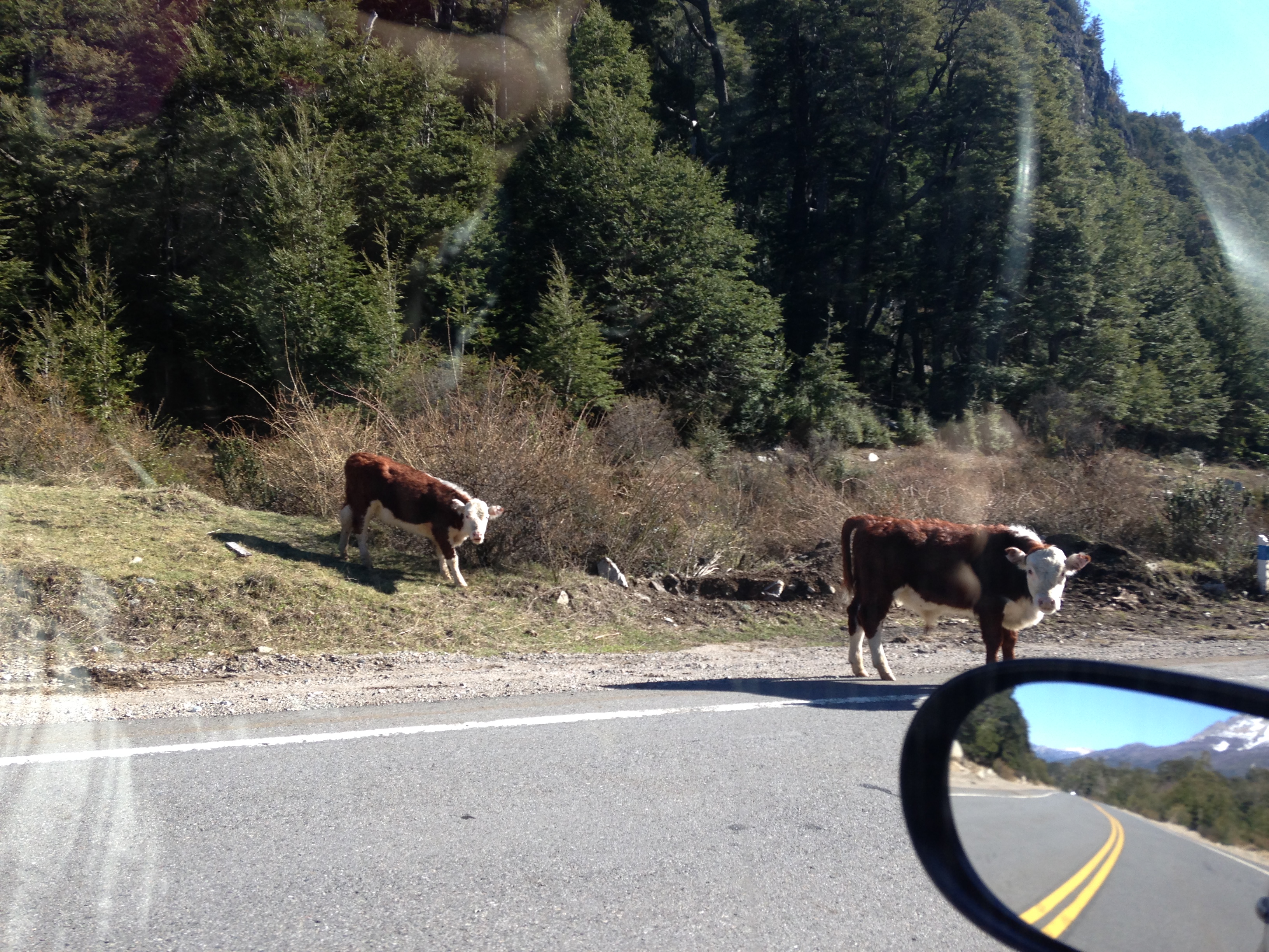 Sur la route des Sept Lacs Sur la route des Sept Lacs