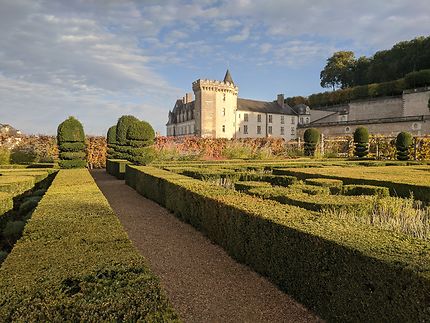 Haies sous le soleil Château de Villandry