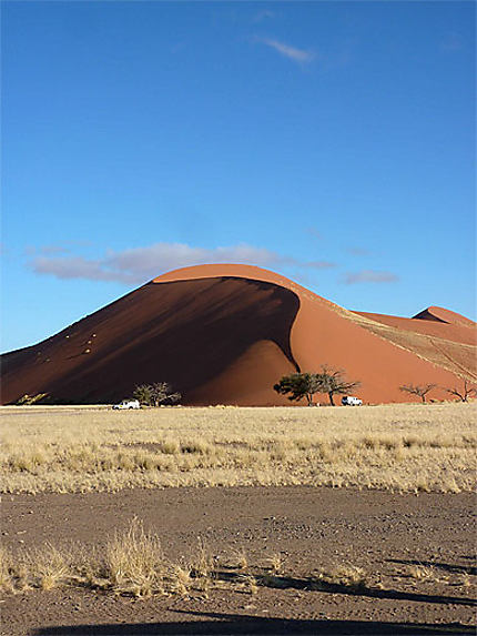 Géantes du Namib