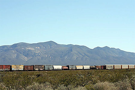 Le train du desert