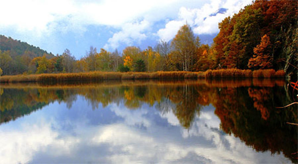 Automne en Vallée d'Aoste