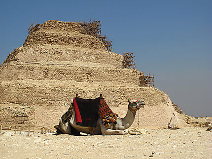 Pyramides de Saqqarah