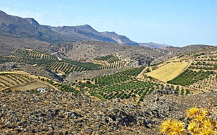 La Crète orientale, une terre de légendes