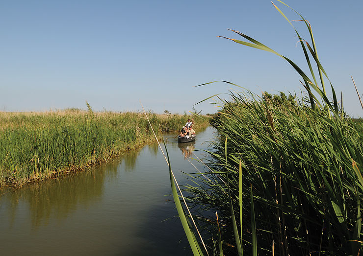 Parc naturel du Delta de l'Ebre