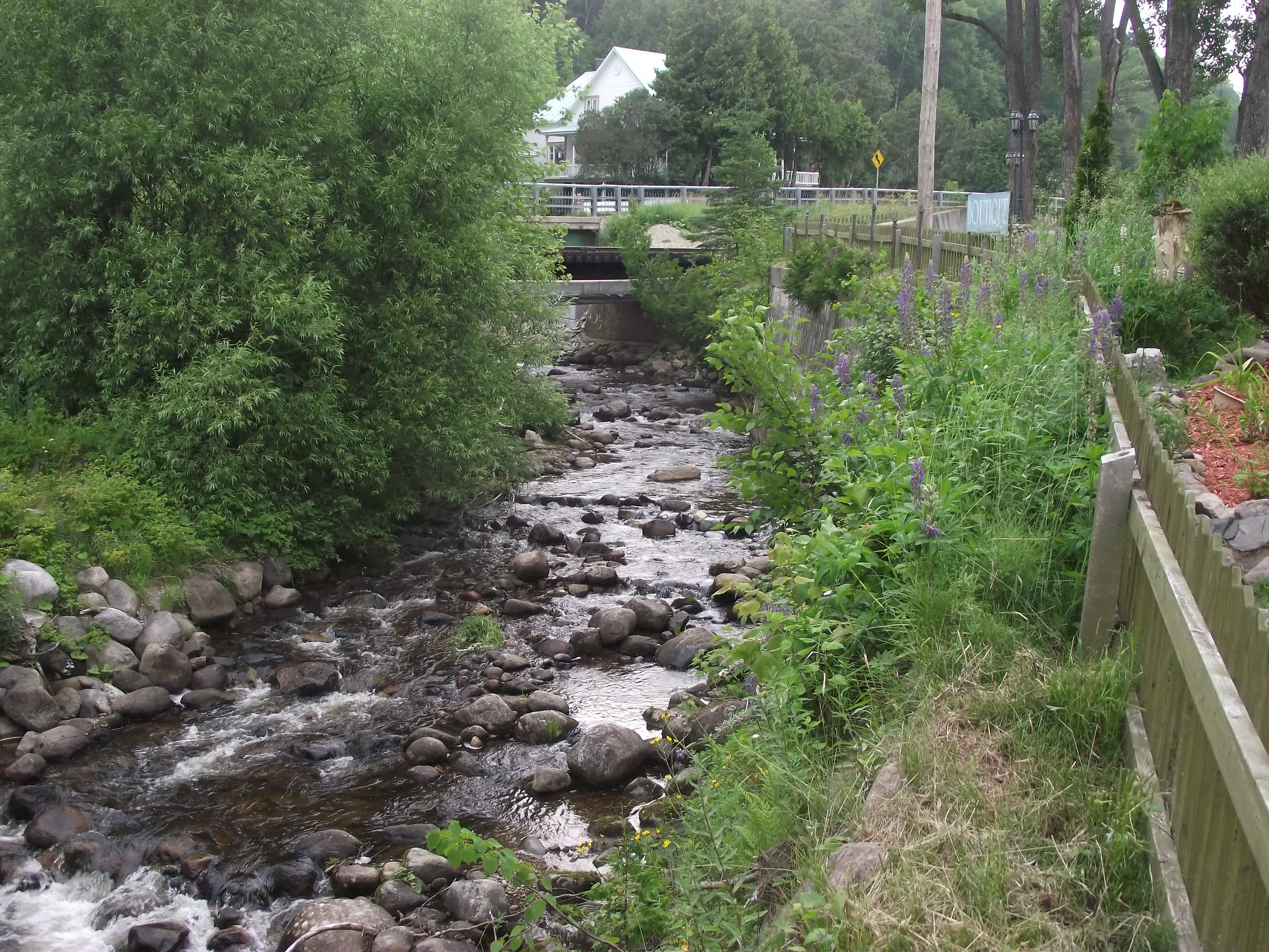 Ruisseau à St-Joseph de la Rive Ruisseau à St-Joseph de la Rive