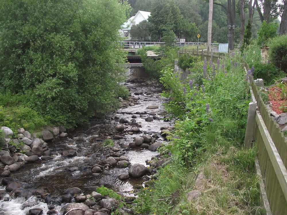 Ruisseau à St-Joseph de la Rive