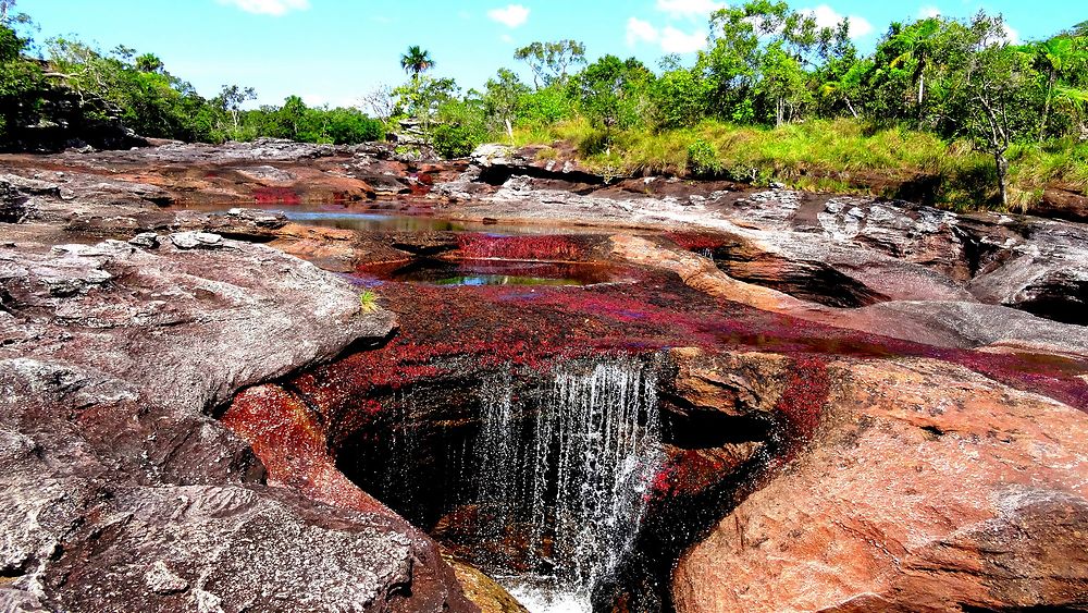 Cano Cristales